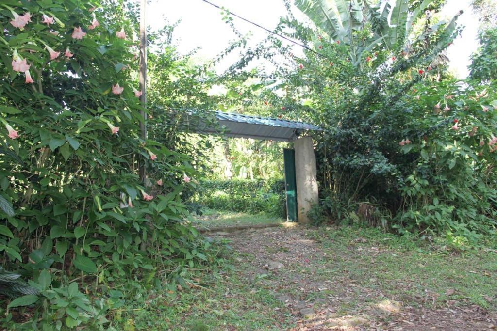 Bema Farm Villa Sao Jose Ngoại thất bức ảnh
