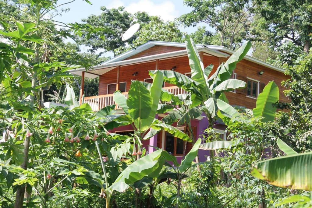 Bema Farm Villa Sao Jose Ngoại thất bức ảnh