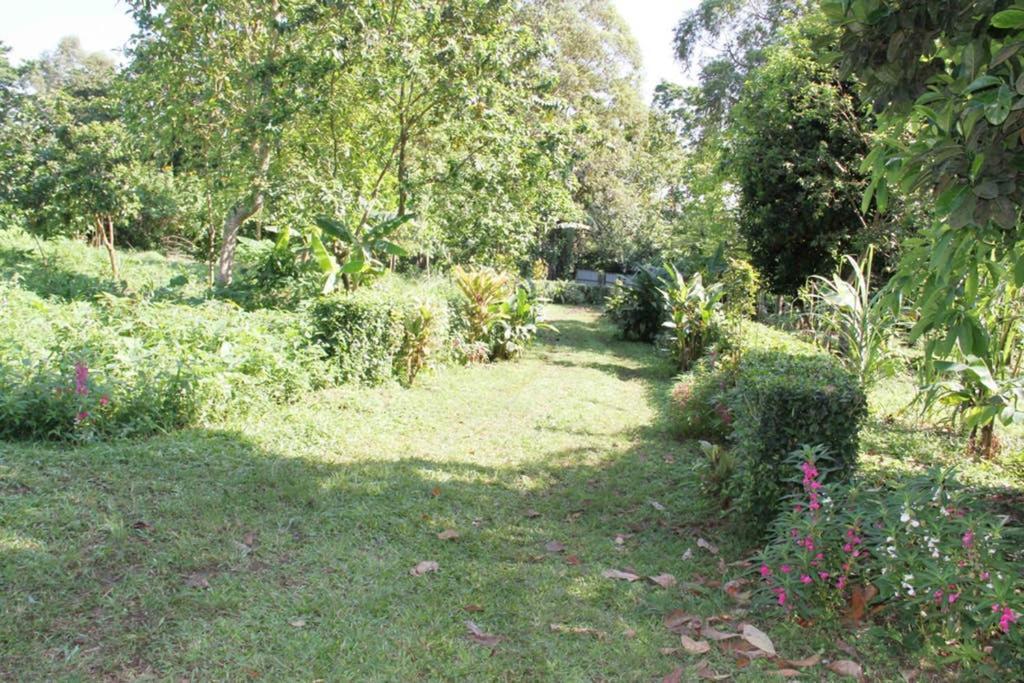 Bema Farm Villa Sao Jose Ngoại thất bức ảnh